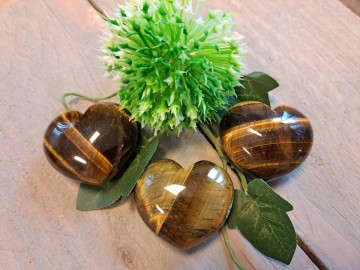 Tijgeroog troosthart