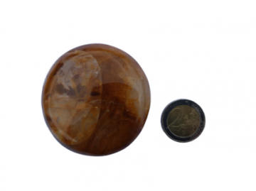 Golden Healer Geel Maat M