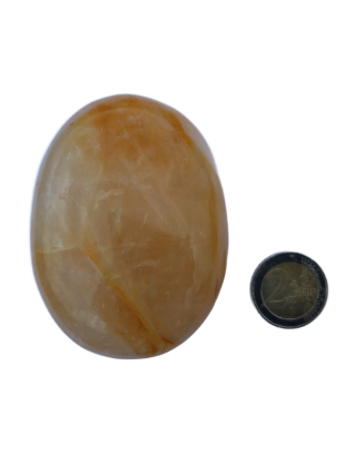 Golden Healer Geel Maat L