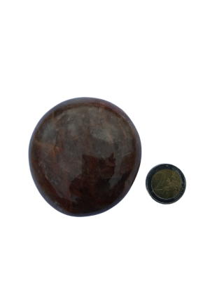 Golden healer rood Maat L