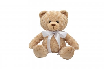 Memory bear front