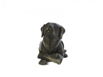 Hond met bot voorkant