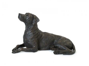 Rhodesian Ridgeback urn
