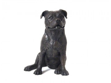 Staffordshire Bull Terrier