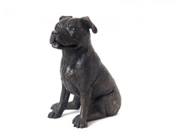 Asbeeld Staffordshire Bull Terrier