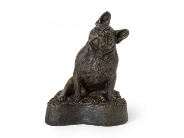 Asbeeld French Bulldog