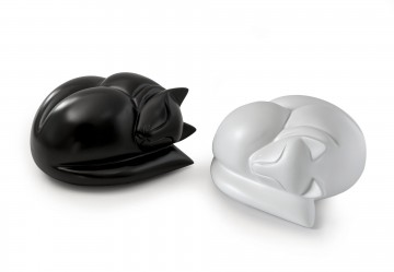 Slapende kat Zwart of Wit