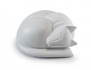 Slapende kat - urn Wit