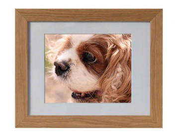 Maxi Frame, wit, eik, walnoot en tin