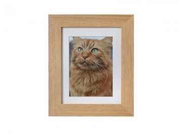 Mini frame met as compartiment